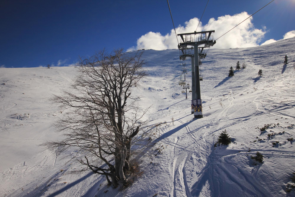 Uludağ ski resort Ski slopes and pine trees in Uludağ, Turkey