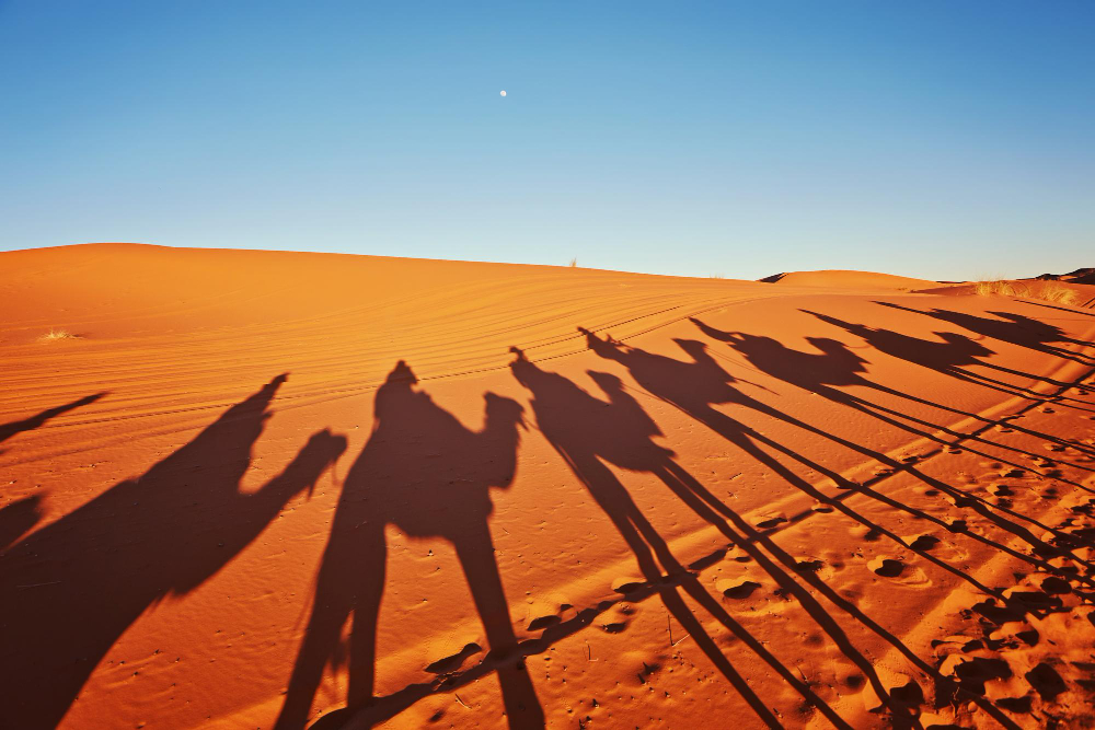 Wadi Rum desert landscape at golden hour with Bedouin camp, Jordan