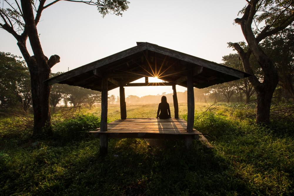Open‑air meditation pavilion surrounded by forest at a luxury wellness destination