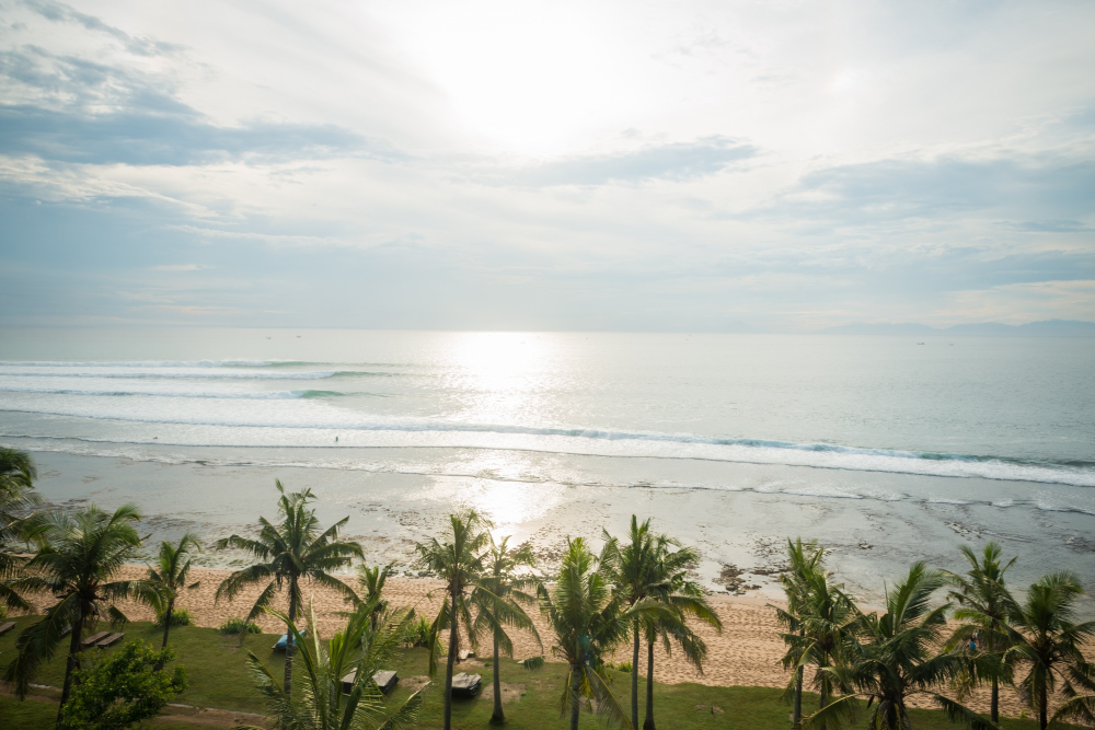 Palm trees and golden sand beach in Sri Lanka