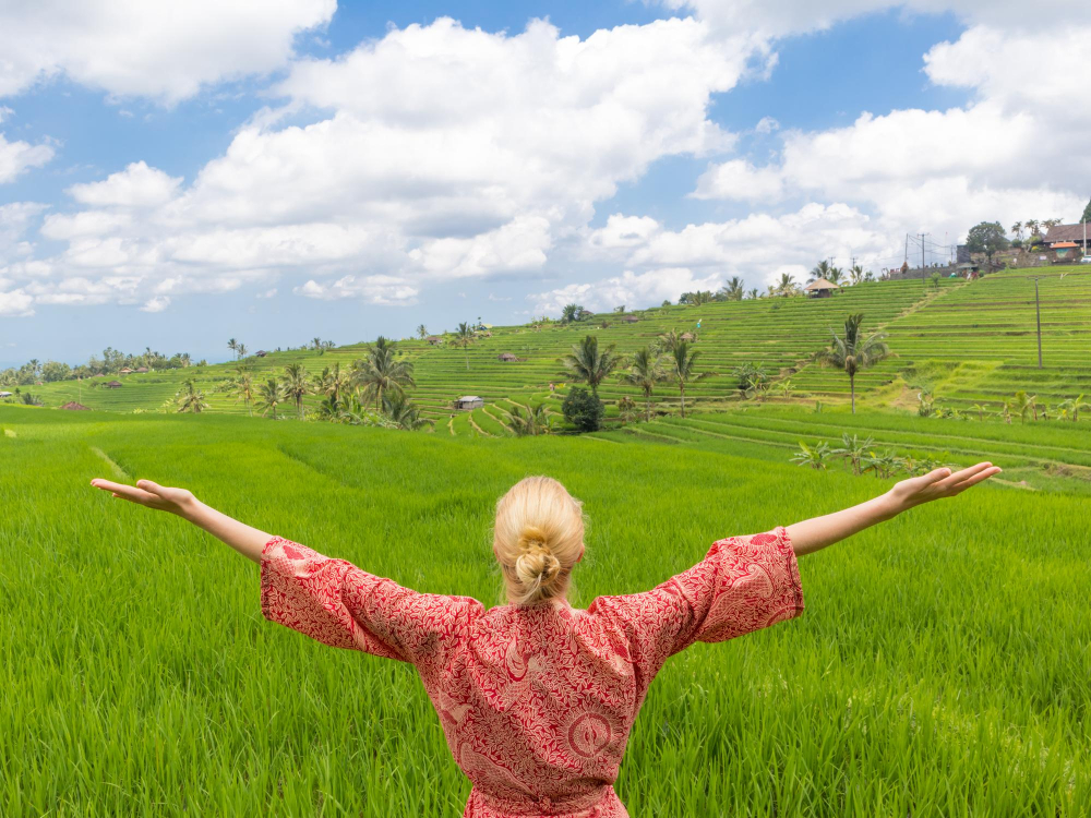 Bali in September Green rice terraces in Ubud, Bali with clear sky