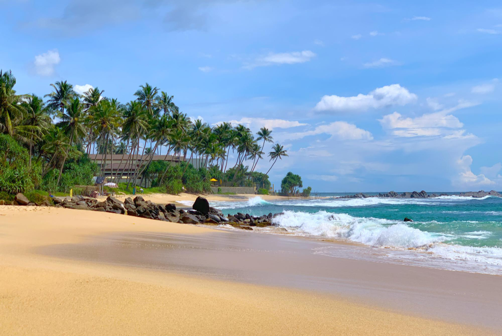 Golden sandy beach with palm trees in Bentota, Sri Lanka