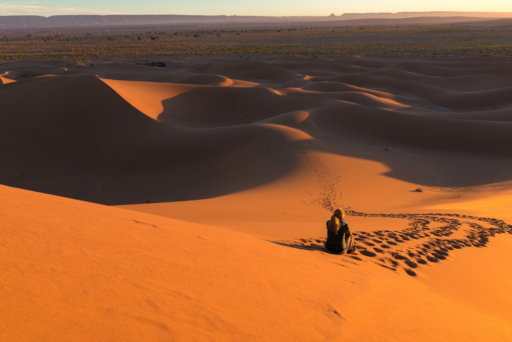 Camel trek in Sahara desert at golden hour