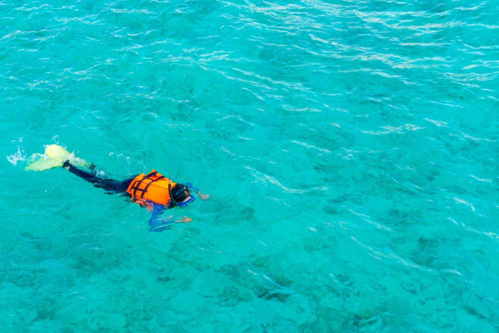 Couple snorkeling over colorful coral reef