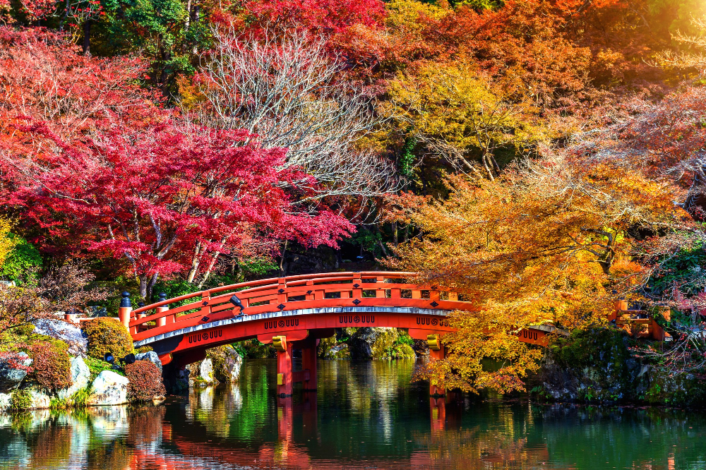Japanese temple with vibrant red and orange maple leaves