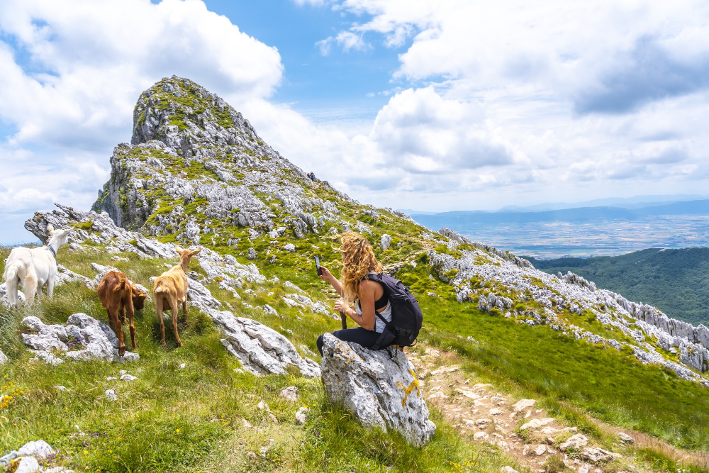 Swiss Alps in August Hiker on alpine trail with green meadows and snow-capped peaks
