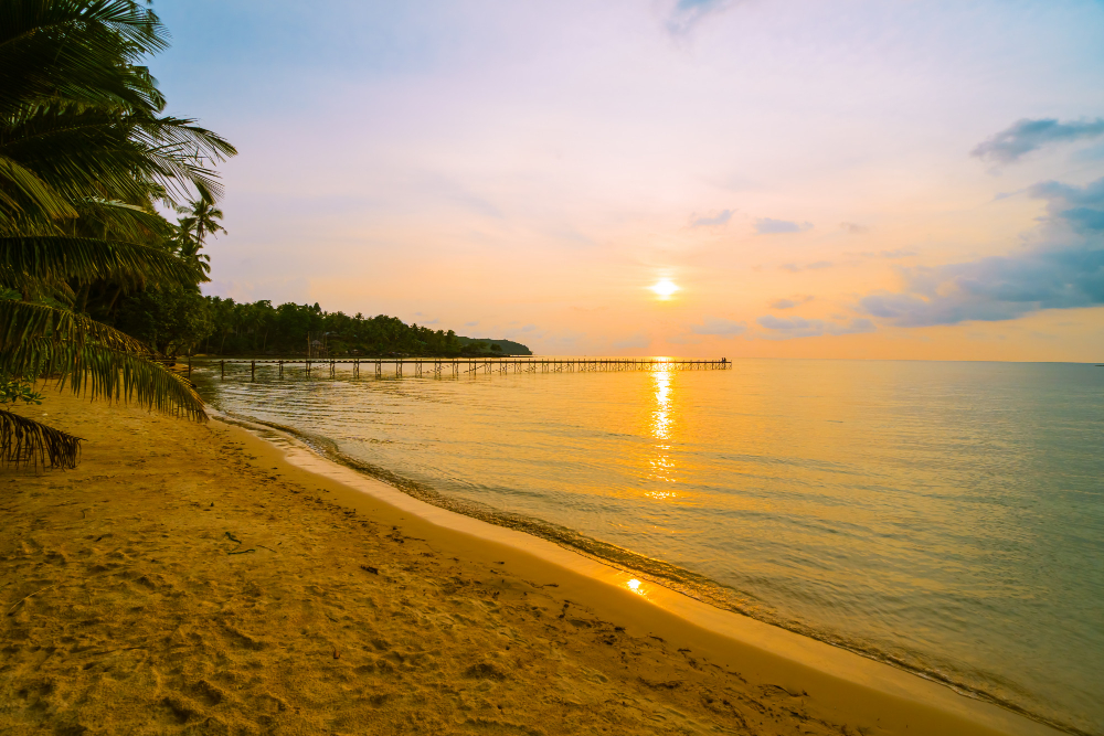 Sri Lanka's west coast Bentota beach at sunset with palm trees, Southern Province