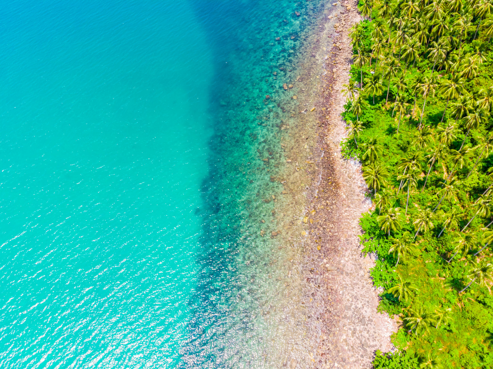 Snorkeler above dense school of sardines, Moalboal Panagsama Beach, Cebu, turquoise water